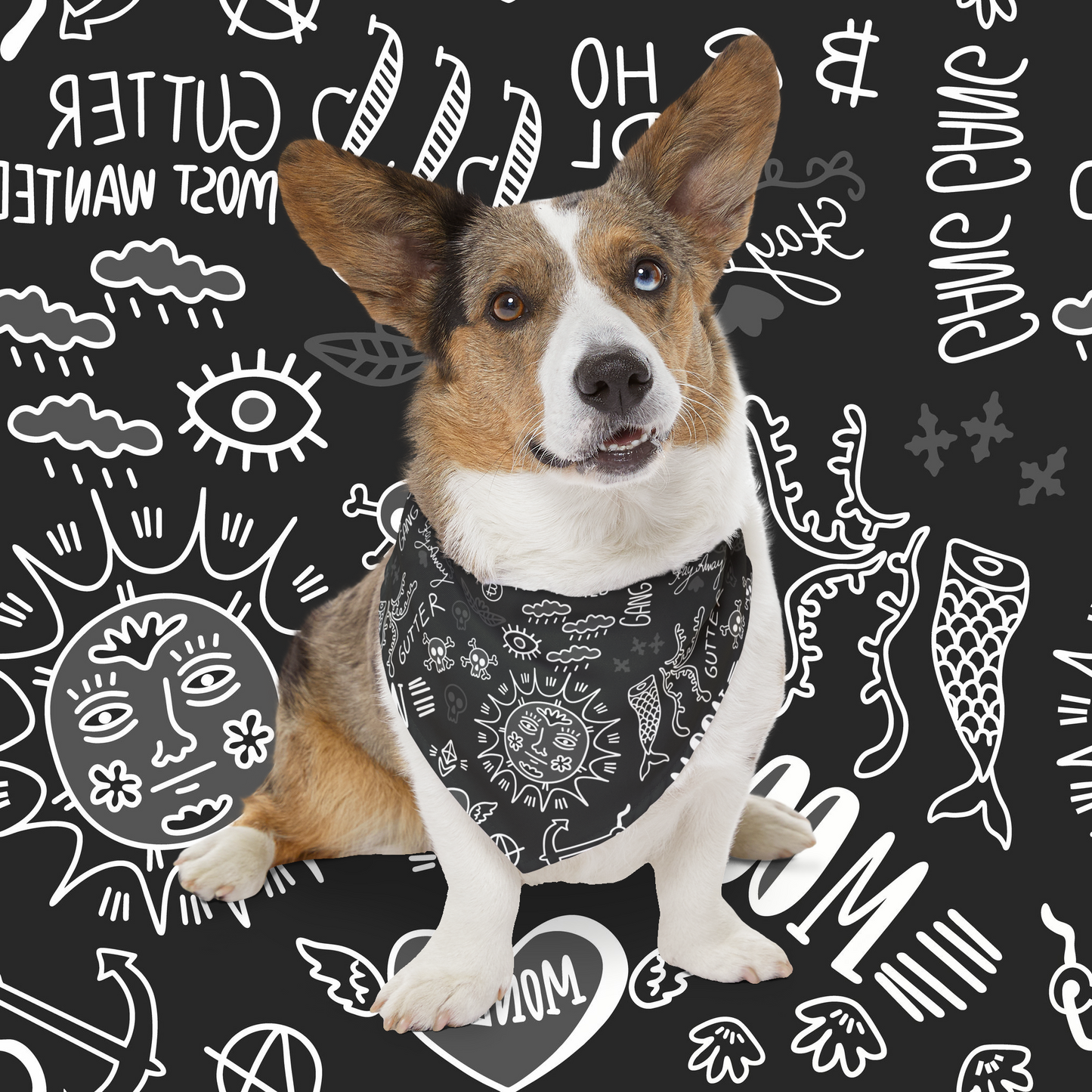 Black Tat Fur Pet Bandana Collar