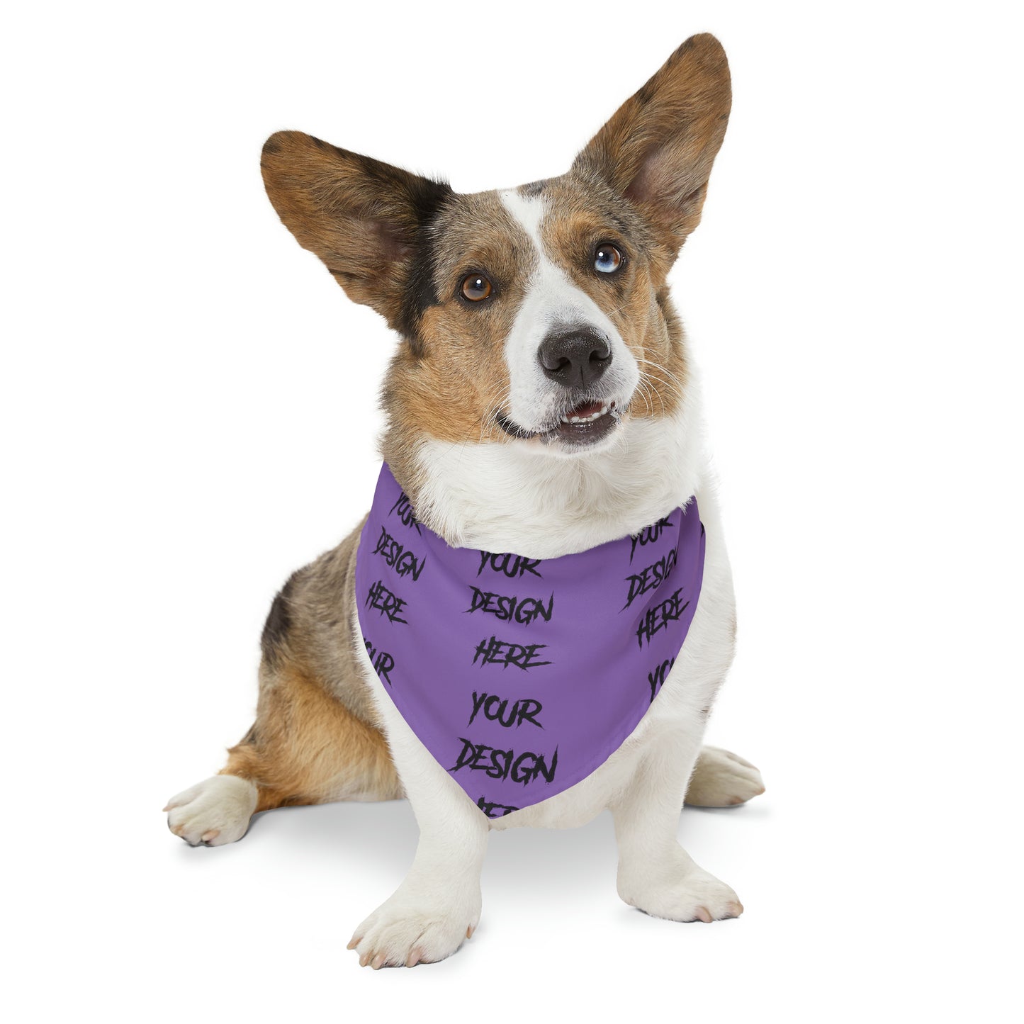 Customizable Pet Bandana Collar